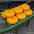 The famous Dutch Gouda